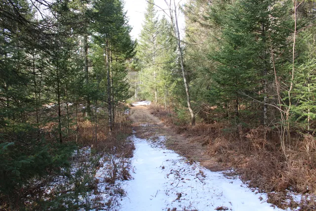 $279,900 | 14246 County Road 441, Posen, MI 49776