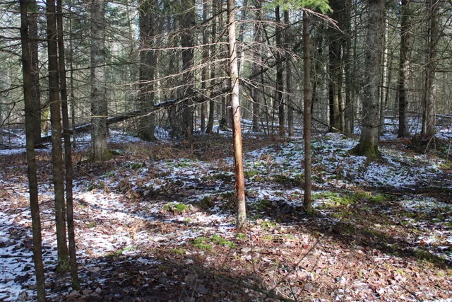 $279,900 | 14246 County Road 441, Posen, MI 49776