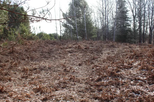 $279,900 | 14246 County Road 441, Posen, MI 49776