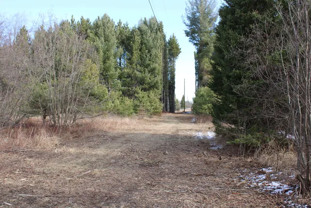 $279,900 | 14246 County Road 441, Posen, MI 49776