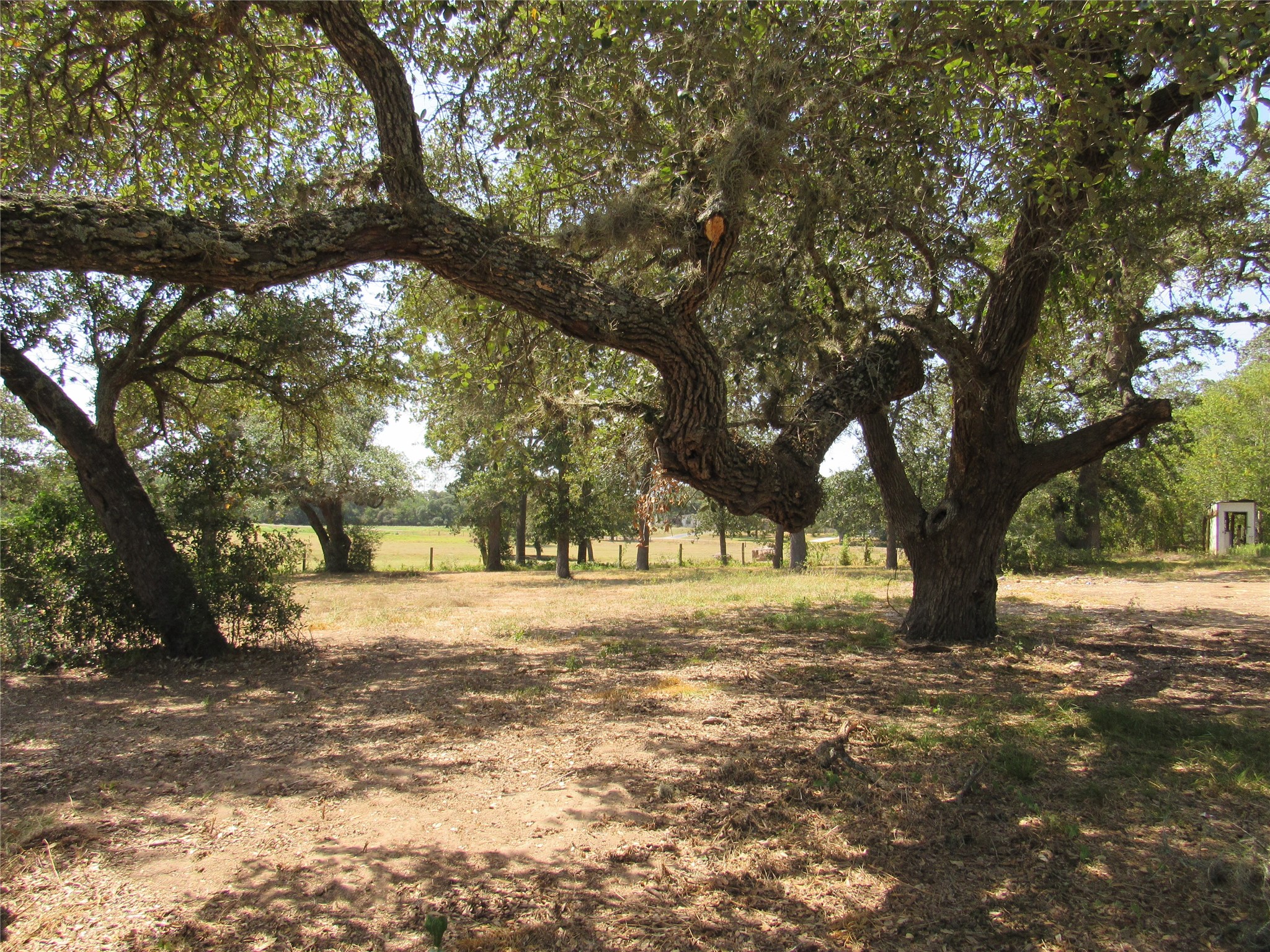 7863 FM 332 Road Brenham, TX 77833 - Photo 17 of 26 Gallery Image 17