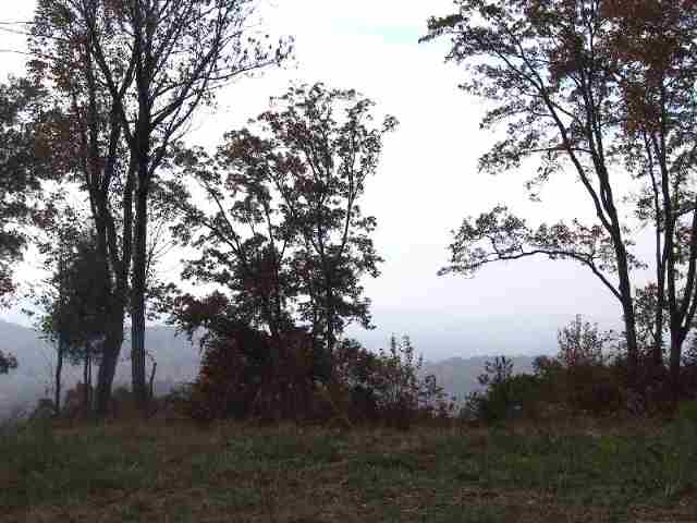 Lot 93 Raven Road, Unit CLIFFS AT GLASSY Landrum, SC 29356 - Photo 2 of 5