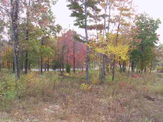 Lot 93 Raven Road, Unit CLIFFS AT GLASSY Landrum, SC 29356 - Photo 3 of 5