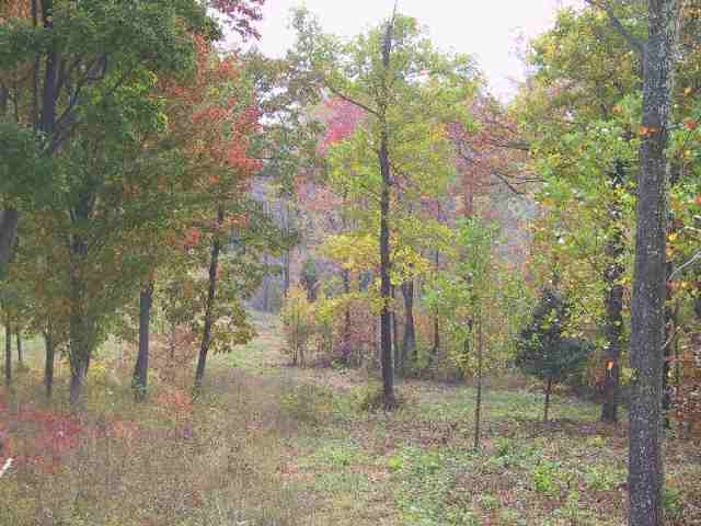 Lot 93 Raven Road, Unit CLIFFS AT GLASSY Landrum, SC 29356 - Photo 4 of 5
