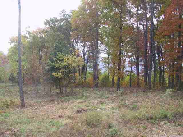 Lot 93 Raven Road, Unit CLIFFS AT GLASSY Landrum, SC 29356 - Photo 5 of 5