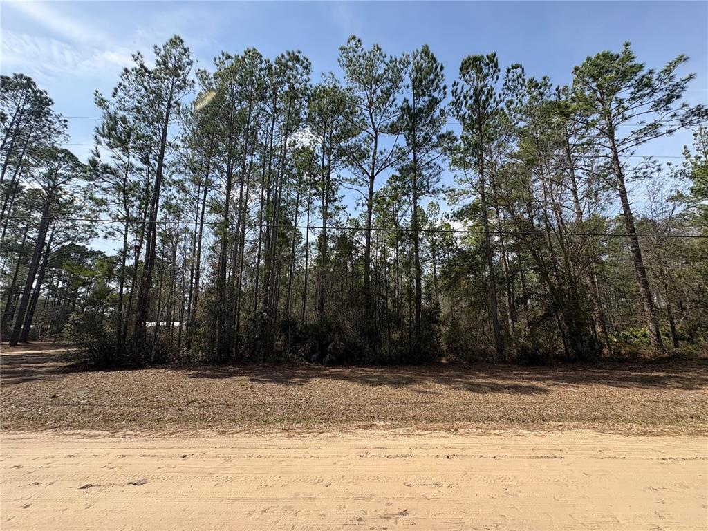 4385 Bondarenko Road Keystone Heights, FL 32656 - Photo 1 of 8 a view of a field with a tree