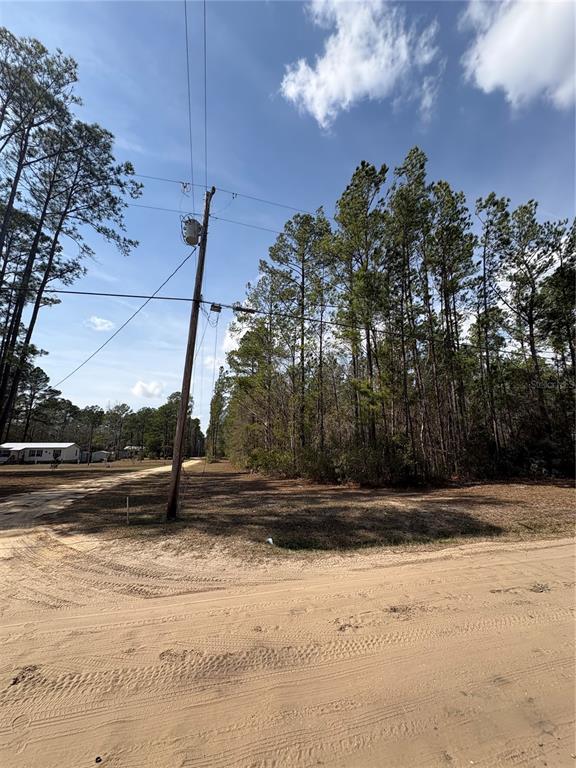 4385 Bondarenko Road Keystone Heights, FL 32656 - Photo 3 of 8 a view of a backyard of the house