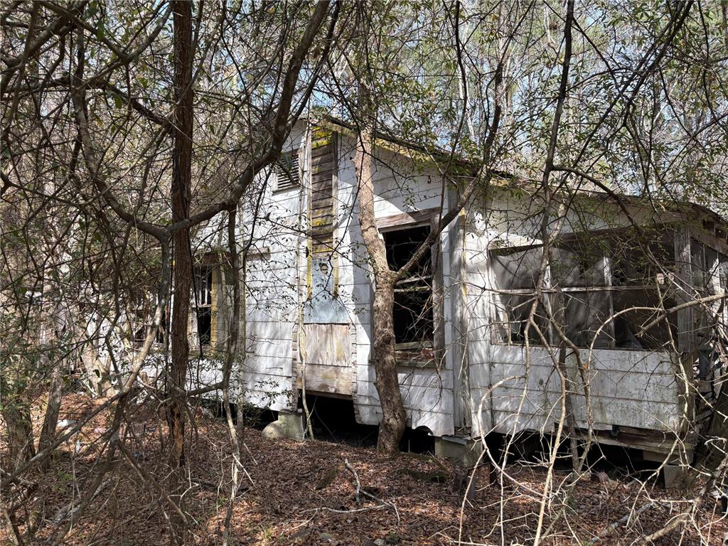 4385 Bondarenko Road Keystone Heights, FL 32656 - Photo 6 of 8 a backyard of a house with lots of green space