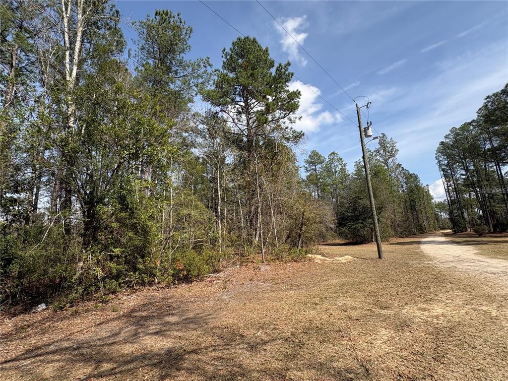 4385 Bondarenko Road Keystone Heights, FL 32656 - Photo 7 of 8 a view of outdoor space with trees