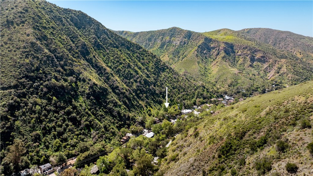 29432 Silverado Canyon Road Silverado, CA 92676 - Photo 5 of 12 a view of a large tree
