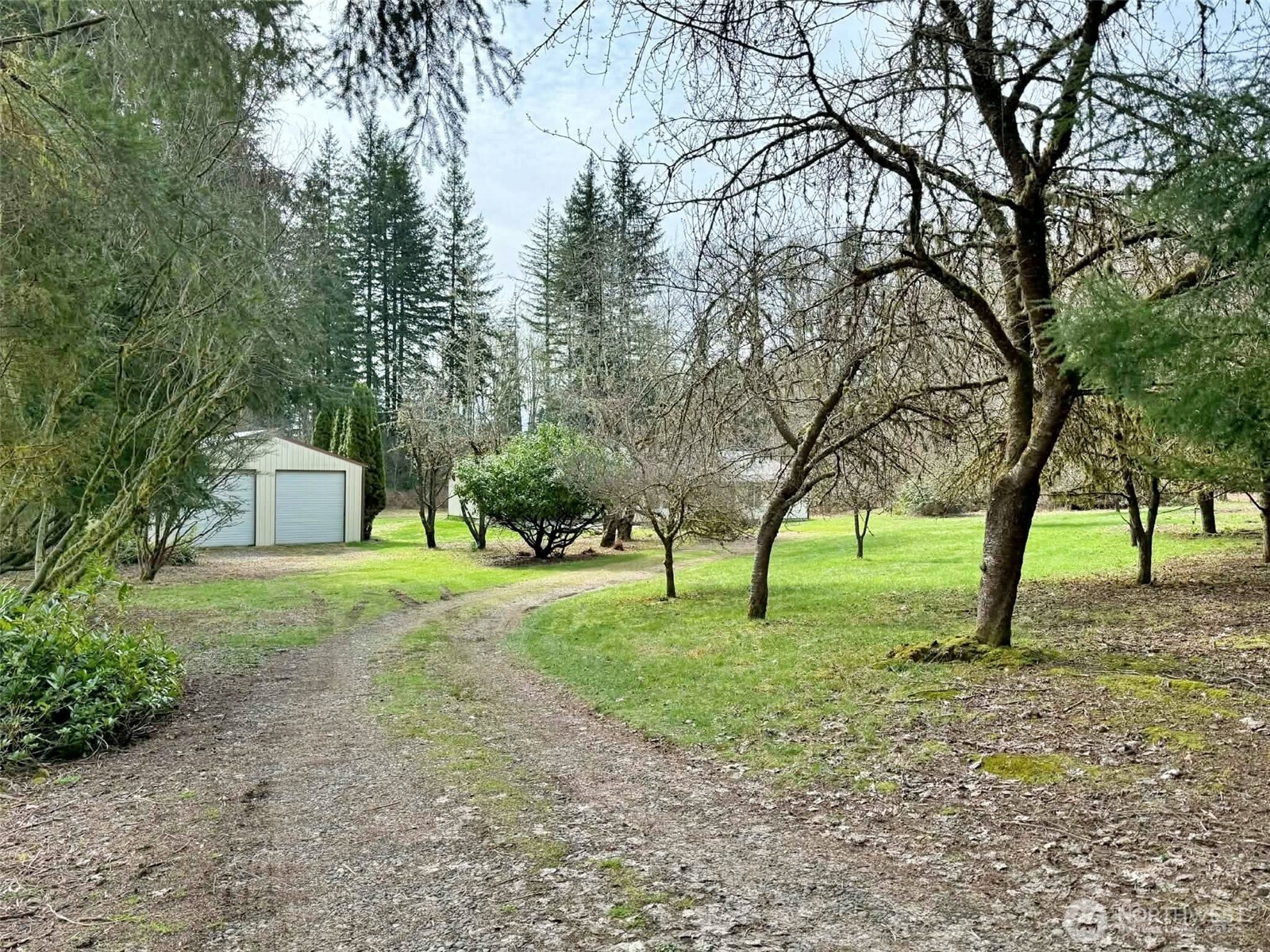 246 Calvin Road Cinebar, WA 98533 - Photo 18 of 31