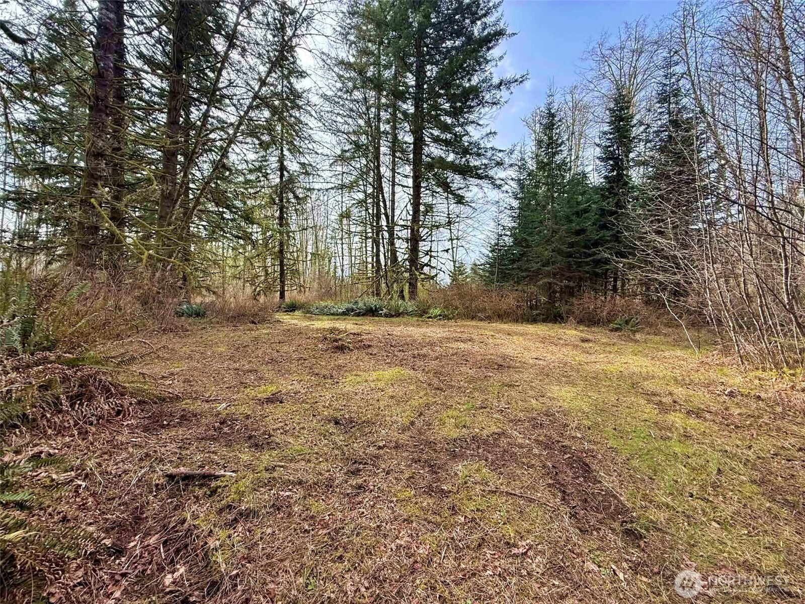 246 Calvin Road Cinebar, WA 98533 - Photo 28 of 31