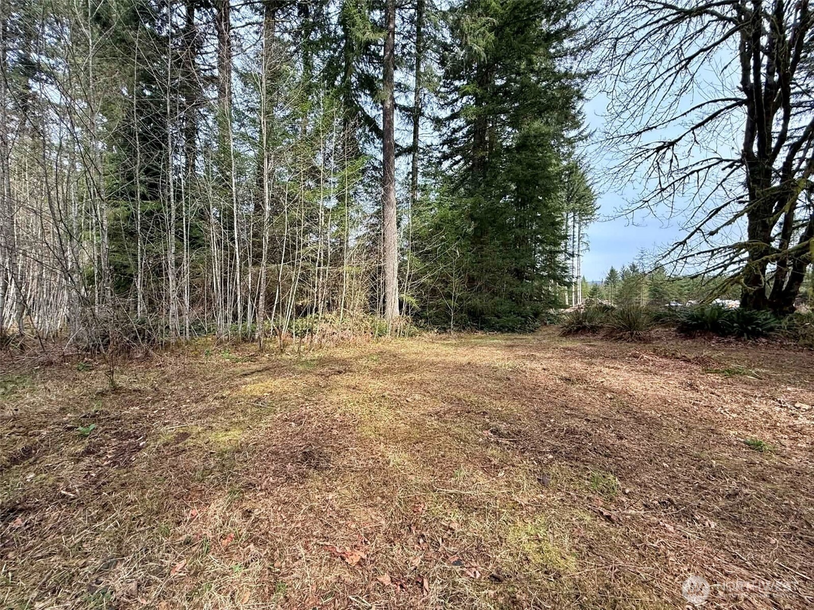 246 Calvin Road Cinebar, WA 98533 - Photo 30 of 31