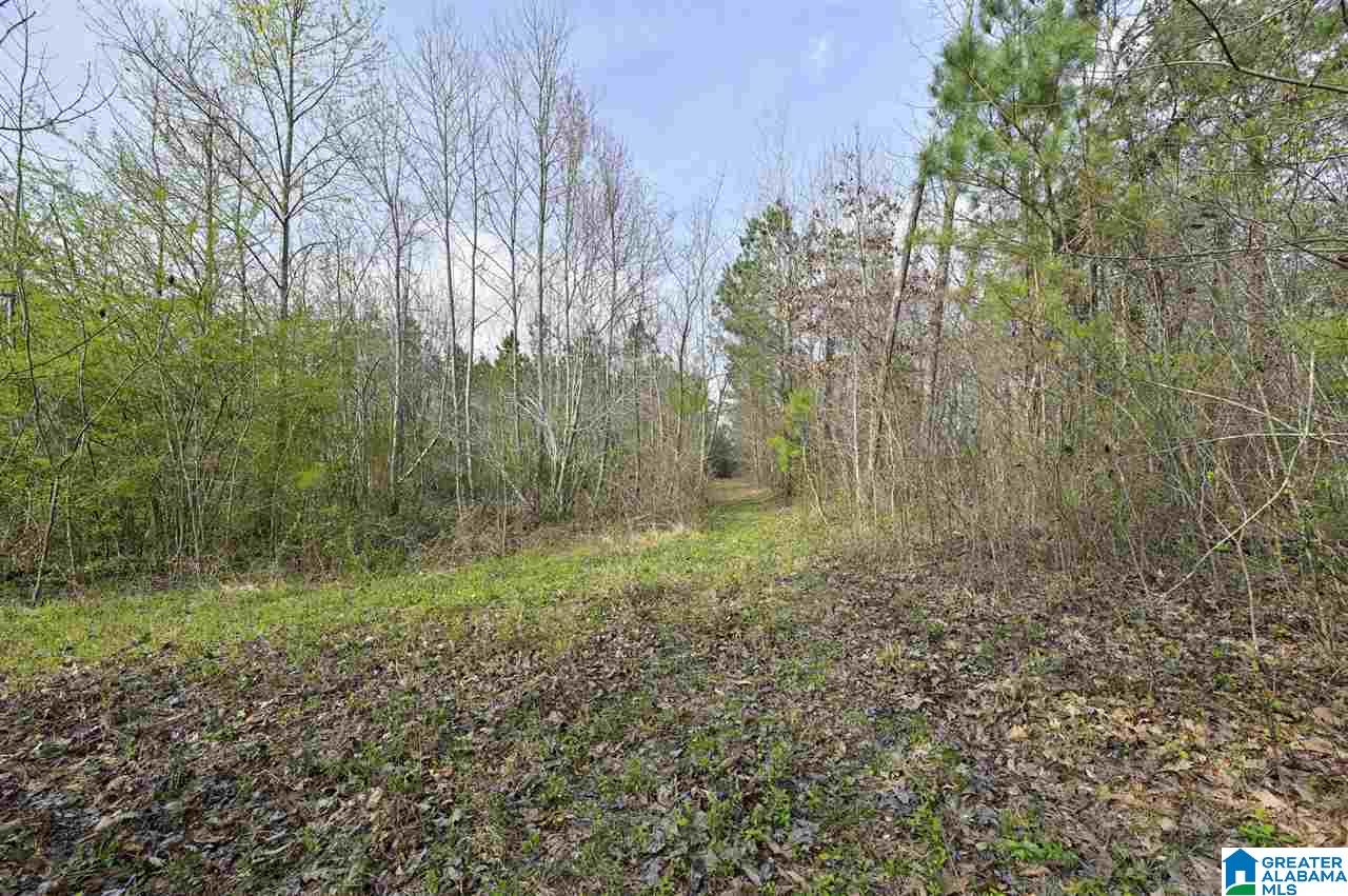 0 Joy Road Blountsville, AL 35031 - Photo 7 of 22