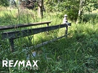 8430 Wildcat Road Croswell, MI 48422 - Photo 28 of 34