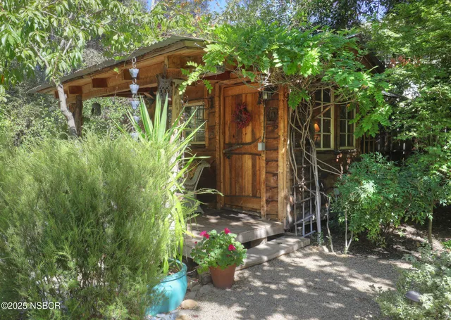 a view of a patio with plants and plants