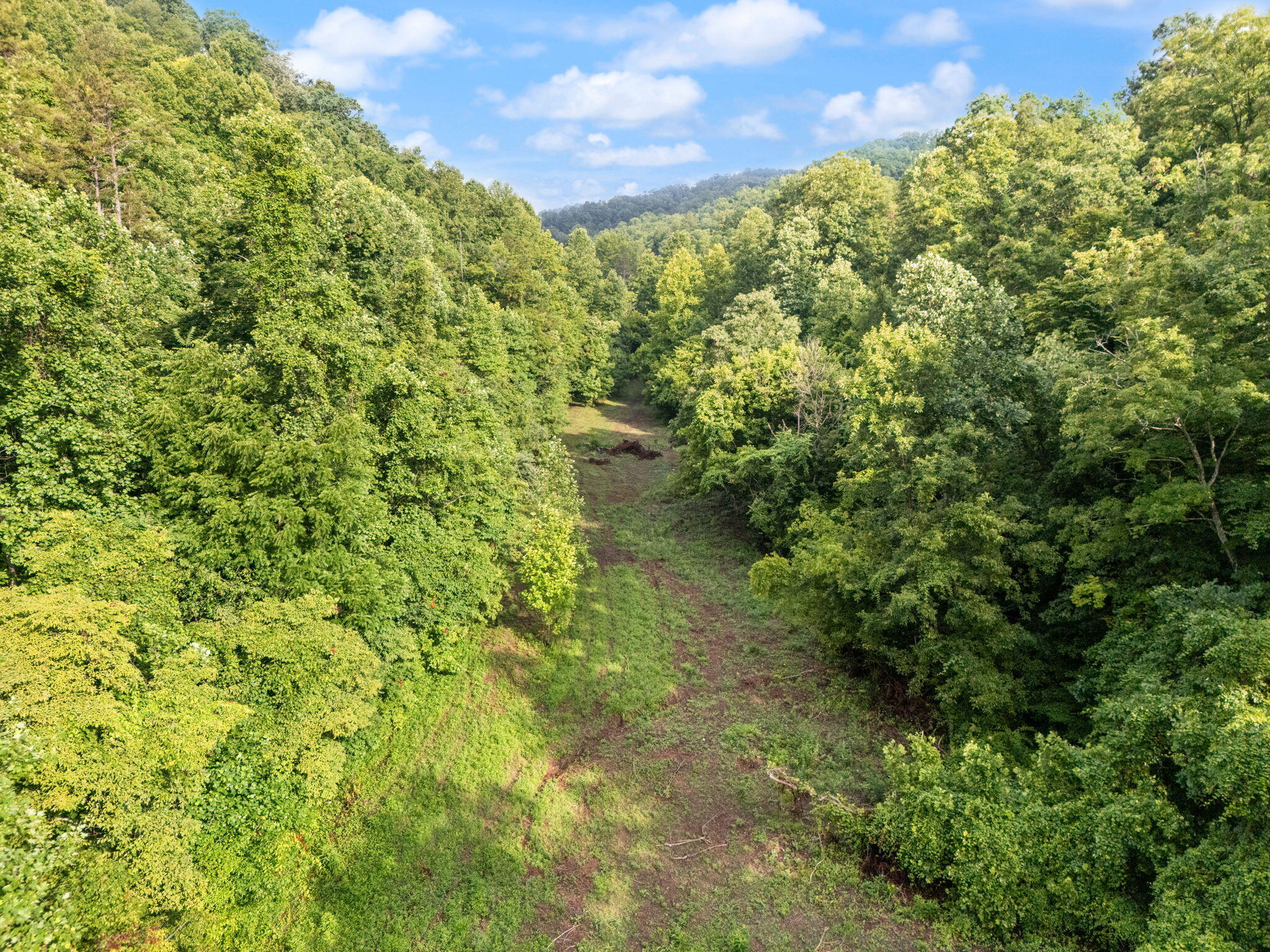 492 Sugar Camp Road Booneville, KY 41314 - Photo 4 of 44 16-web-or-mls-DJI_20250701090151_0042_D