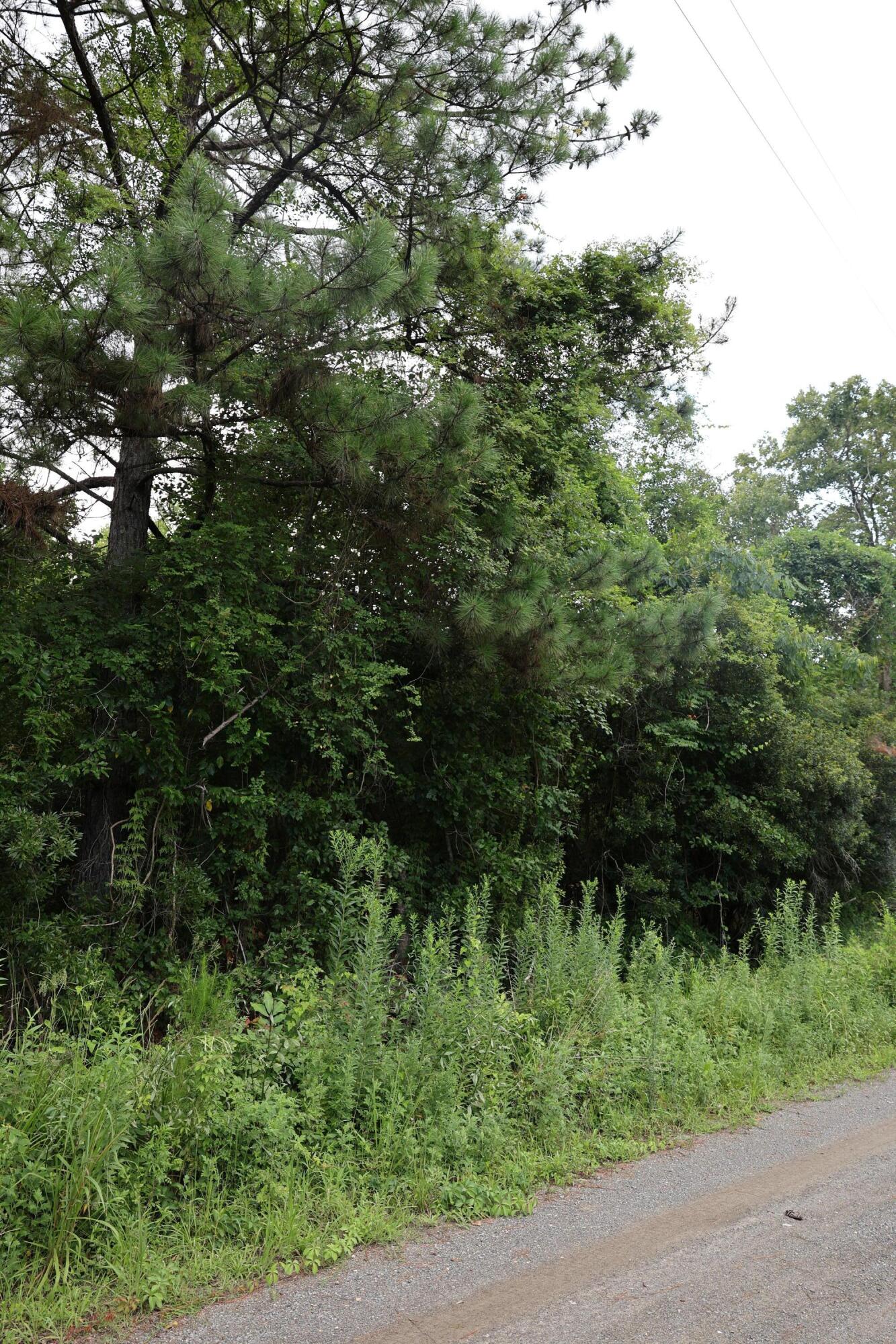 45 Partridge Road Kingstree, SC 29556 - Photo 1 of 5 J13A1333