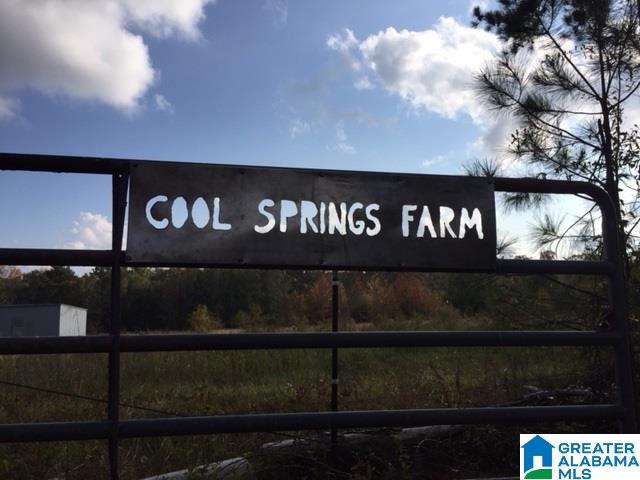 295 Horsley Road Ashville, AL 35953 - Photo 2 of 20