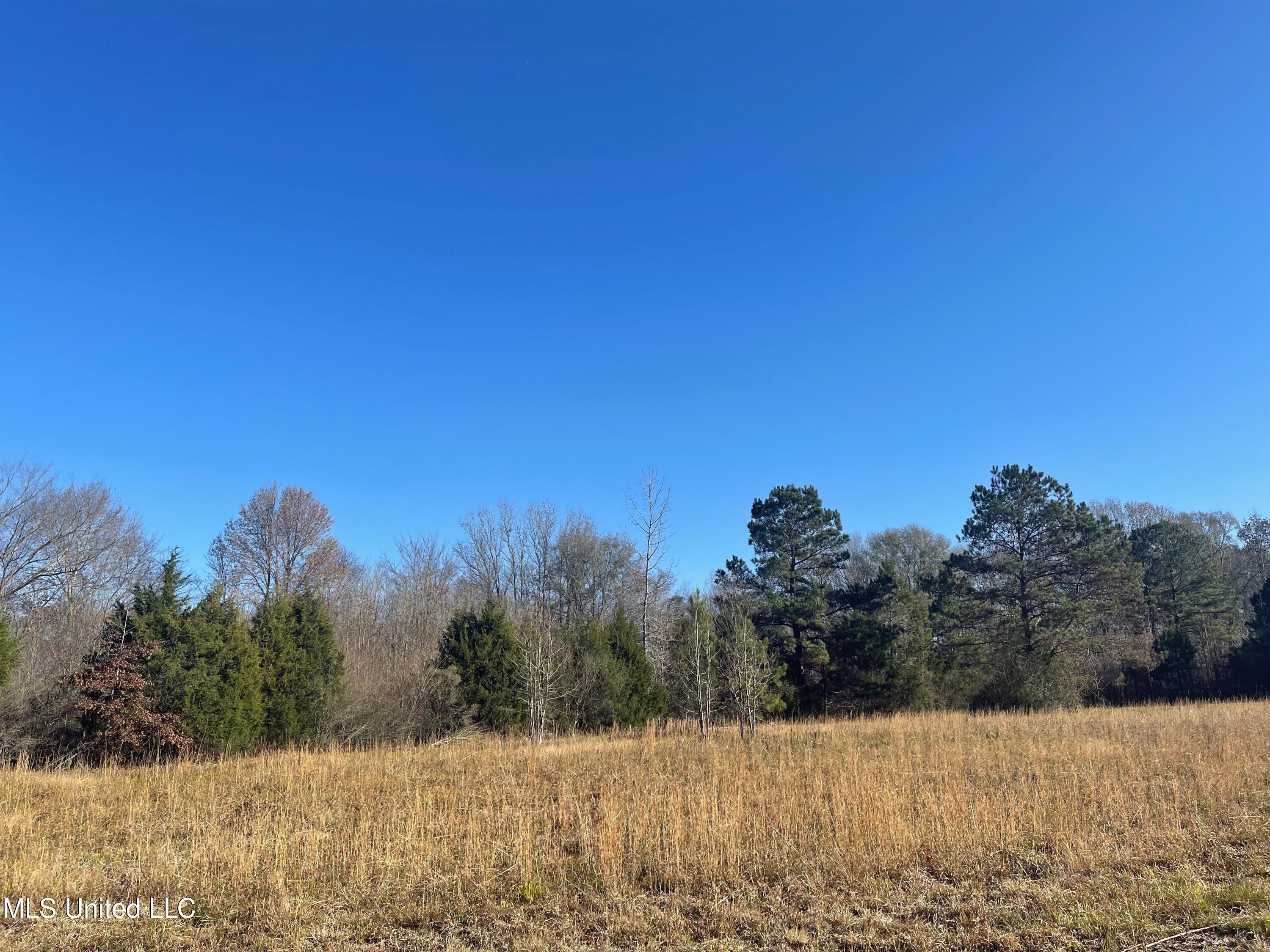 249 West Brown Road West Canton, MS 39046 - Photo 3 of 10 2