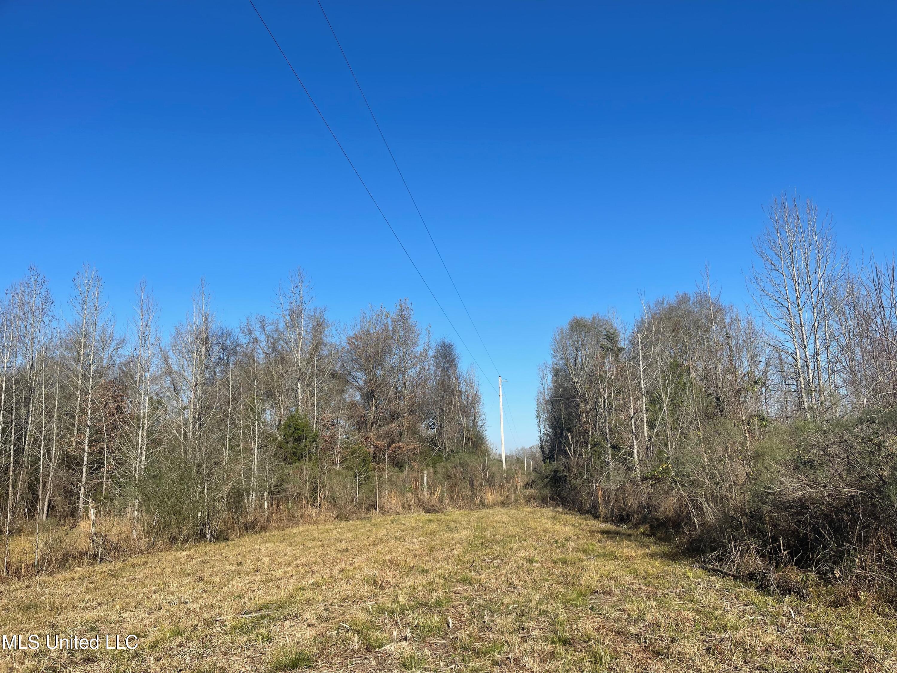 249 West Brown Road West Canton, MS 39046 - Photo 4 of 10 3