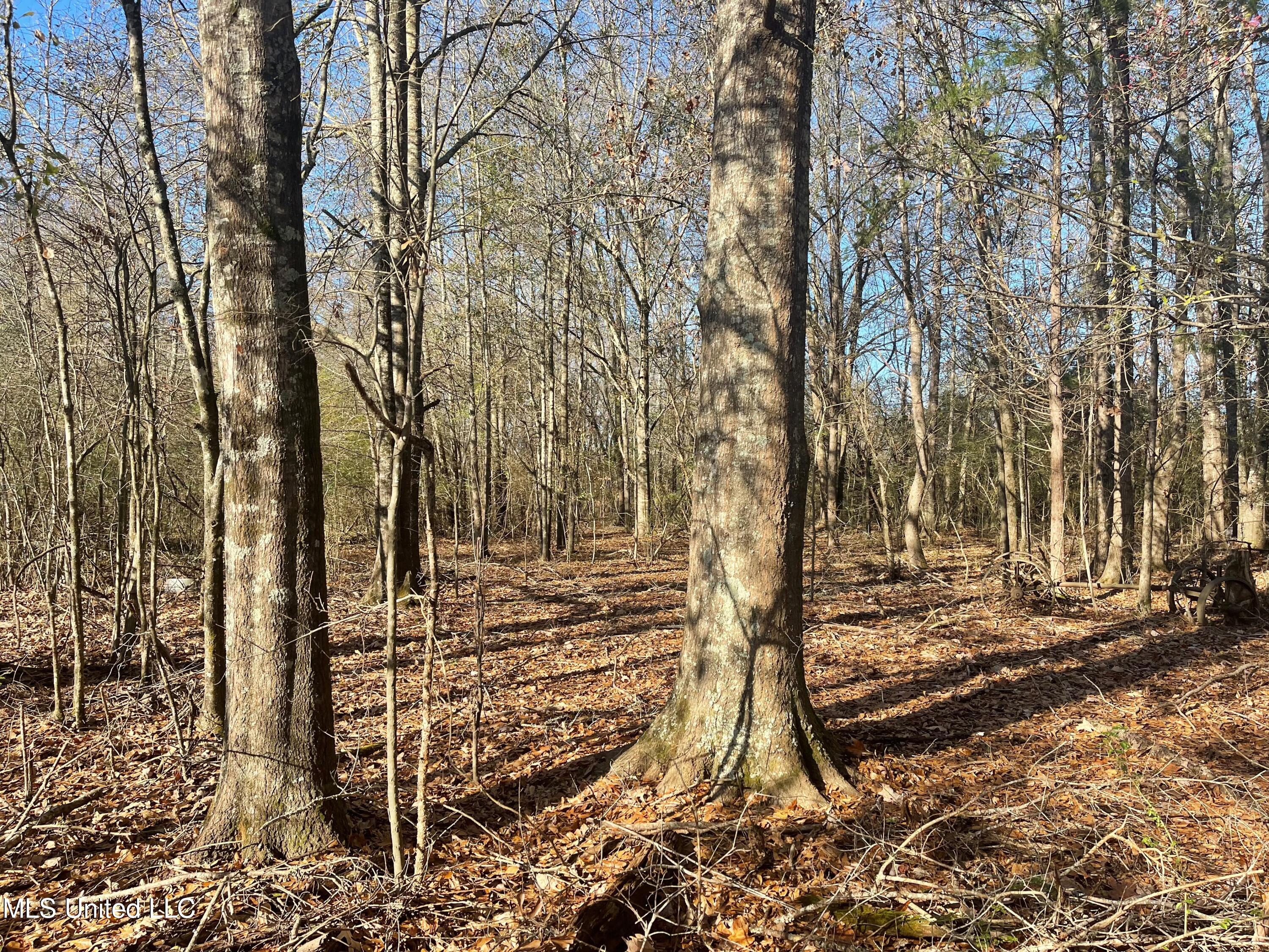 249 West Brown Road West Canton, MS 39046 - Photo 5 of 10 4