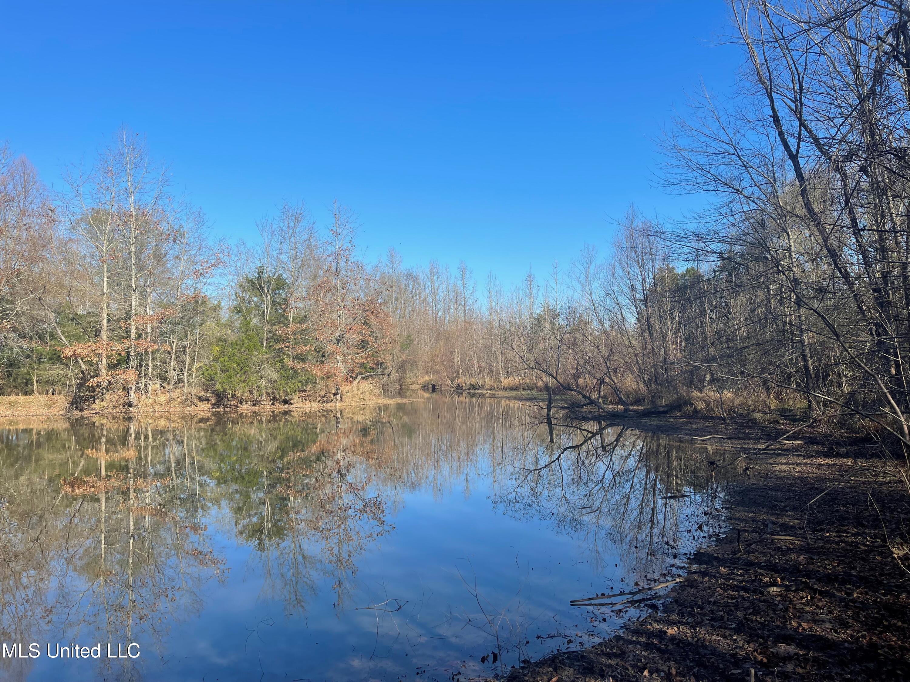 249 West Brown Road West Canton, MS 39046 - Photo 7 of 10 6
