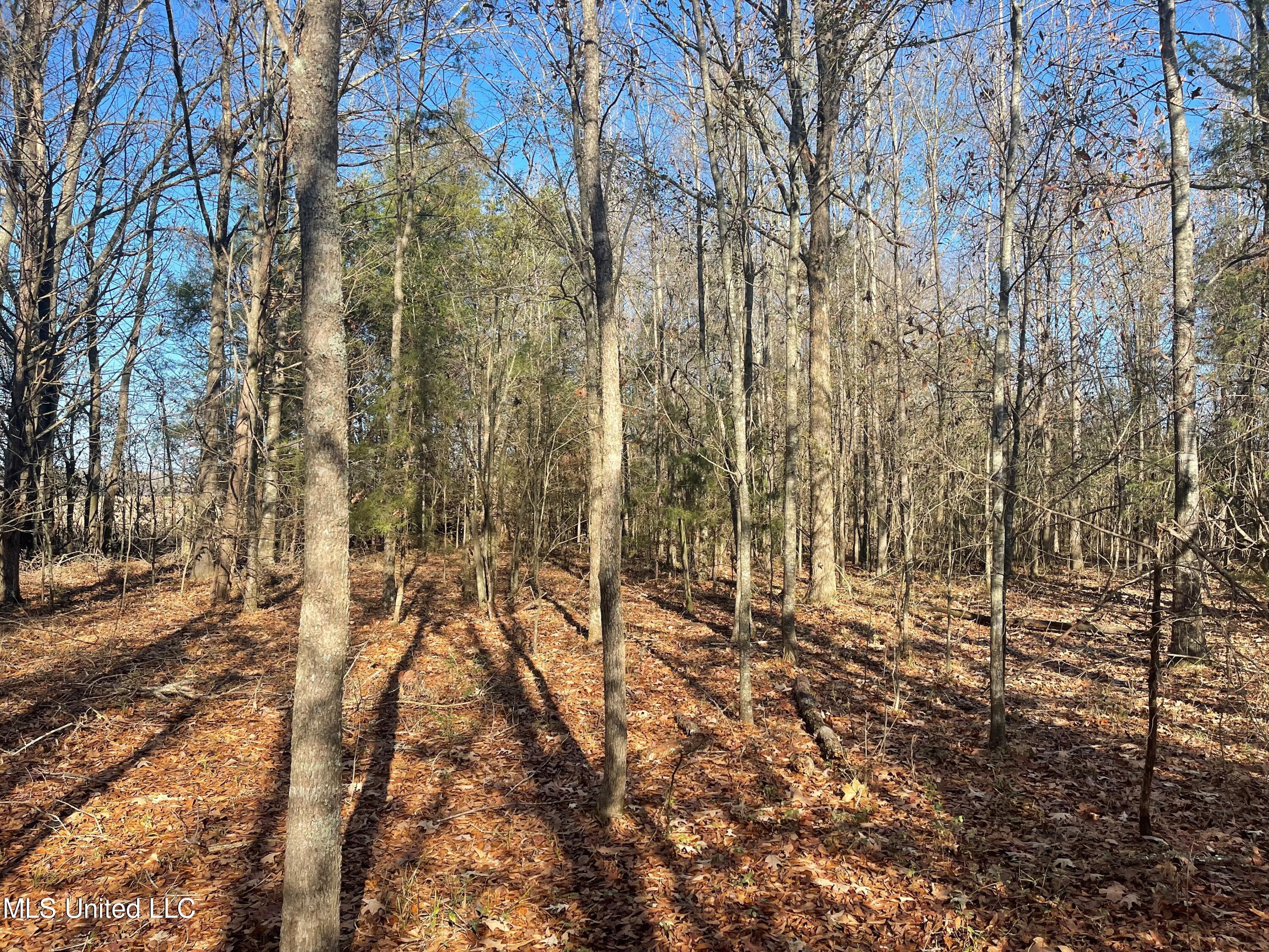 249 West Brown Road West Canton, MS 39046 - Photo 8 of 10 7
