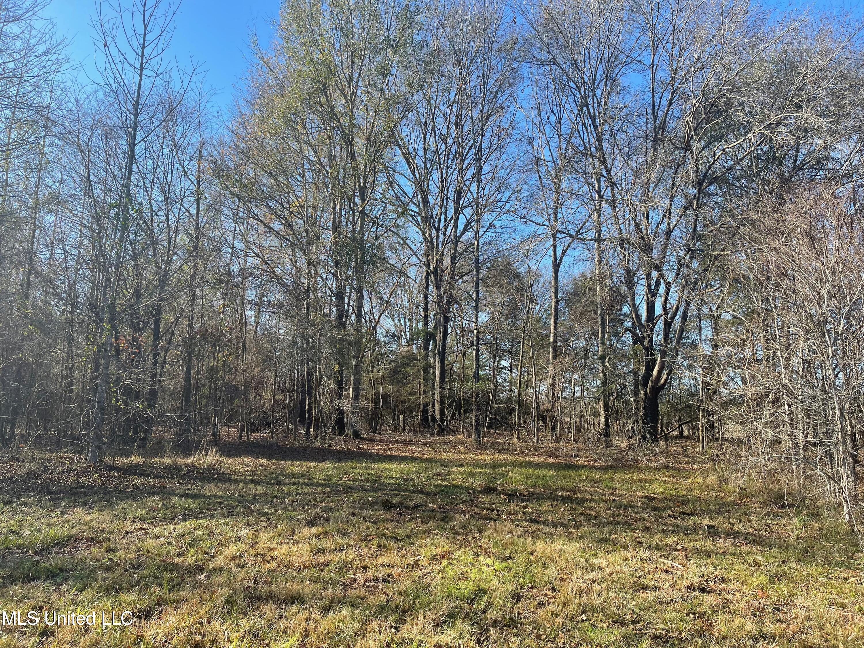 249 West Brown Road West Canton, MS 39046 - Photo 9 of 10 8