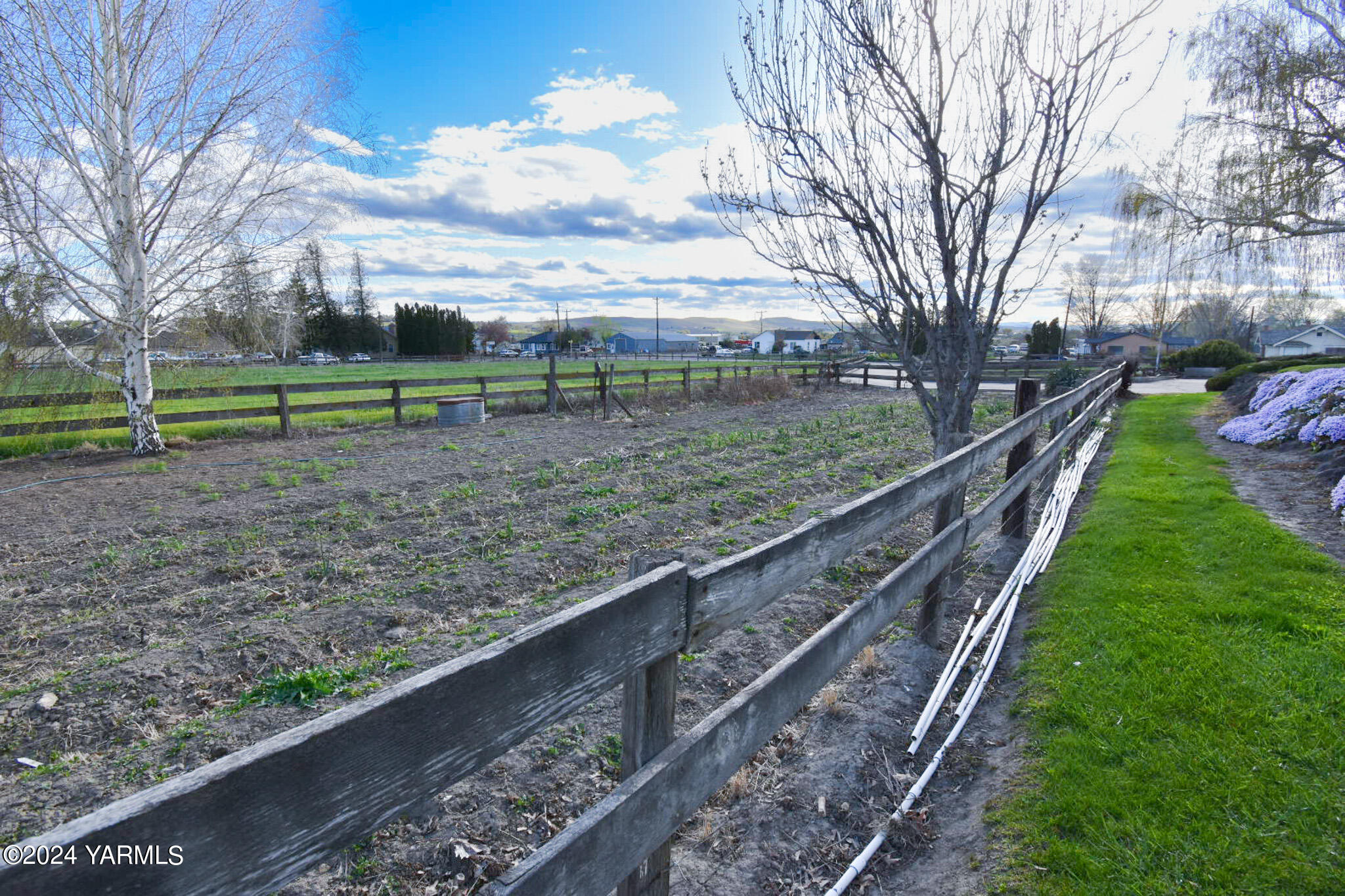 906 Scoon Road Sunnyside, WA 98944 - Photo 17 of 21 a view of a park with large trees