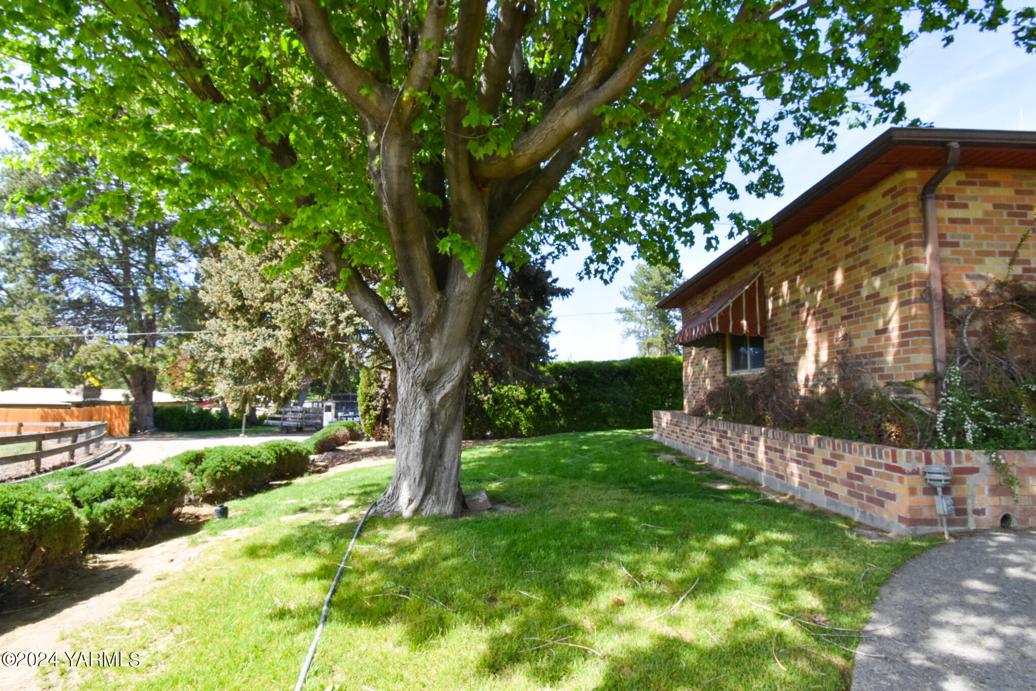 906 Scoon Road Sunnyside, WA 98944 - Photo 5 of 21 a backyard of a house with lots of green space