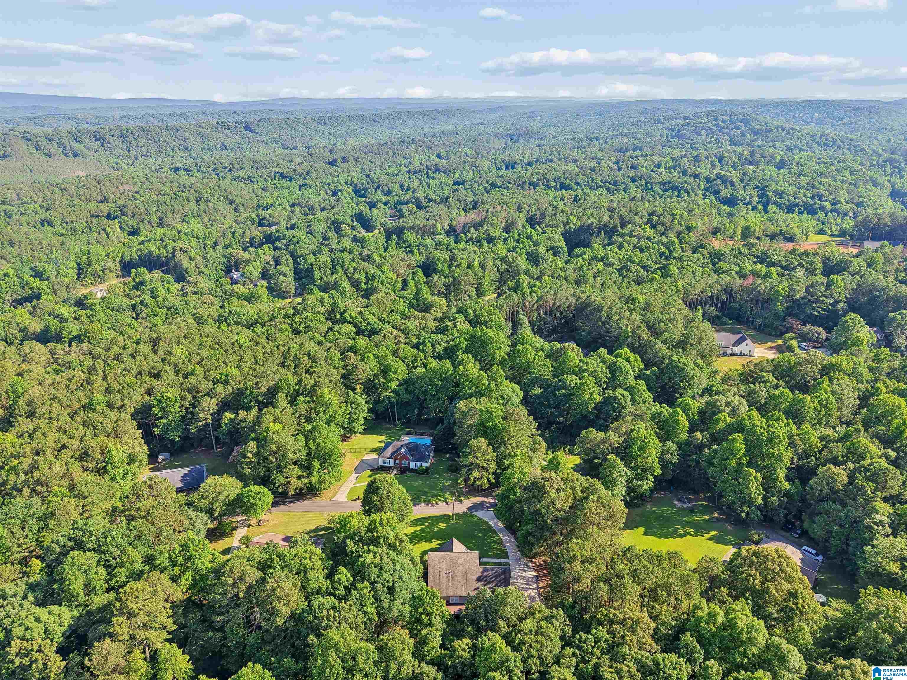 1331 Cedar Creek Road Odenville, AL 35120 - Photo 36 of 39