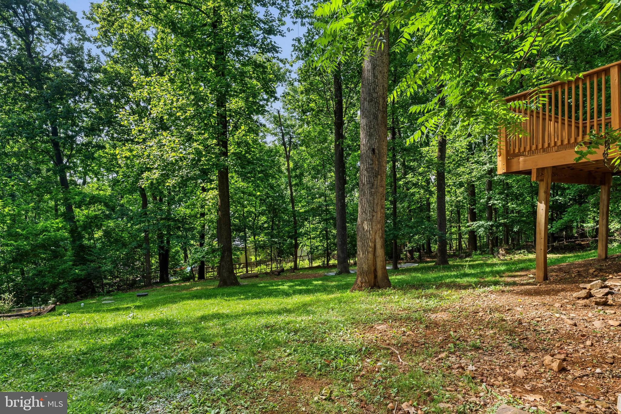997 Wilderness Road Linden, VA 22642 - Photo 57 of 61 Back yard