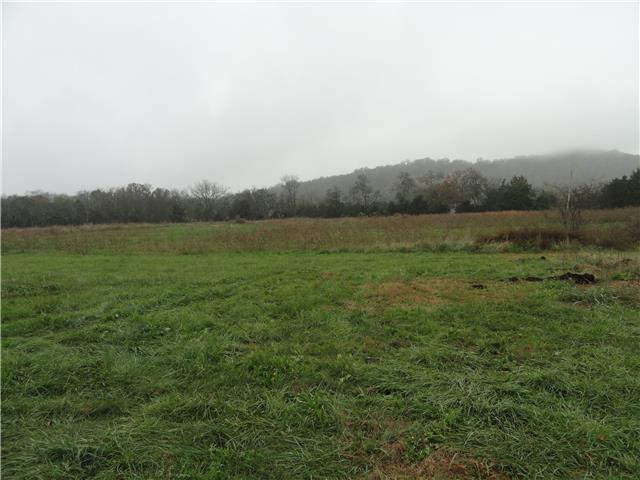 12820 Newtown Road Rockvale, TN 37153 - Photo 3 of 9 Gallery Image 3