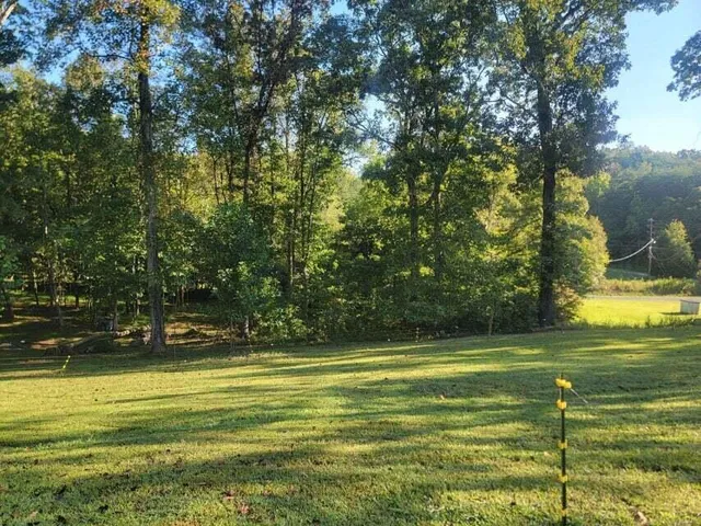 $275,000 | 2285 Euchee Chapel Road, Spring City, TN 37381