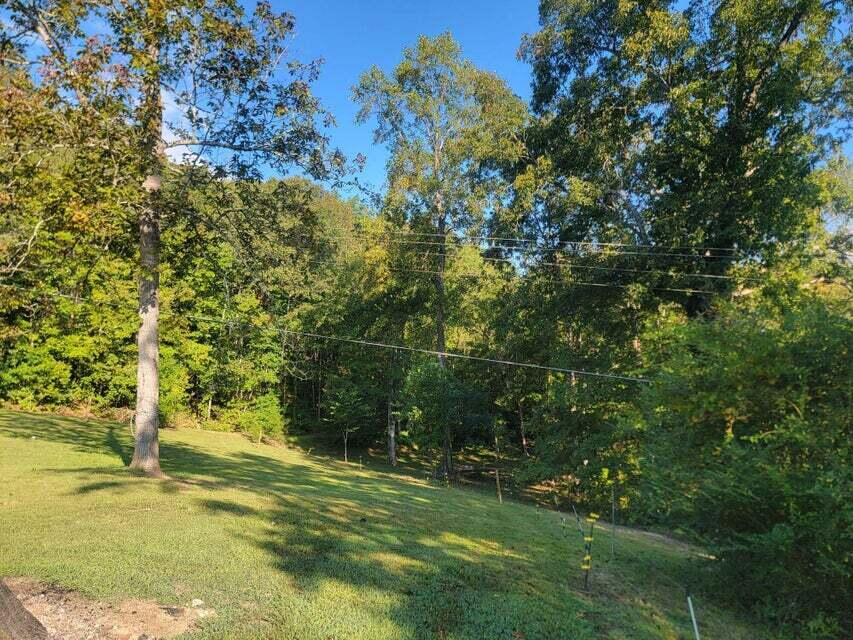 2285 Euchee Chapel Road Spring City, TN 37381 - Photo 7 of 54 e40