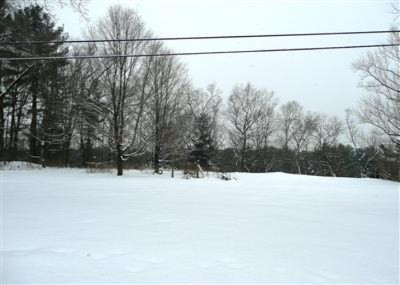 126 Bridge Road Allegan, MI 49010 - Photo 6 of 9 Additional Photo