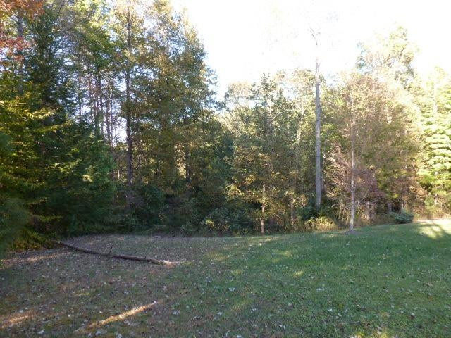 801 Singleton Road Wellington, KY 40387 - Photo 14 of 70 Listing Photo