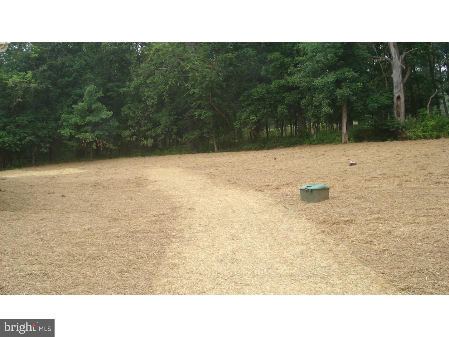 217 Maron Road Hatfield, PA 19440 - Photo 5 of 7 Back Yard