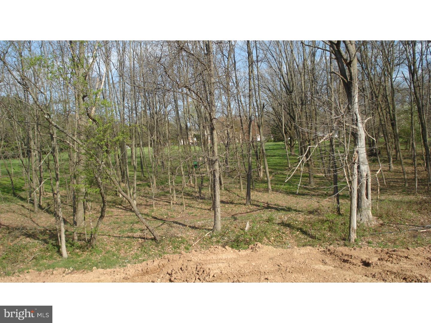 217 Maron Road Hatfield, PA 19440 - Photo 6 of 7 View in Back