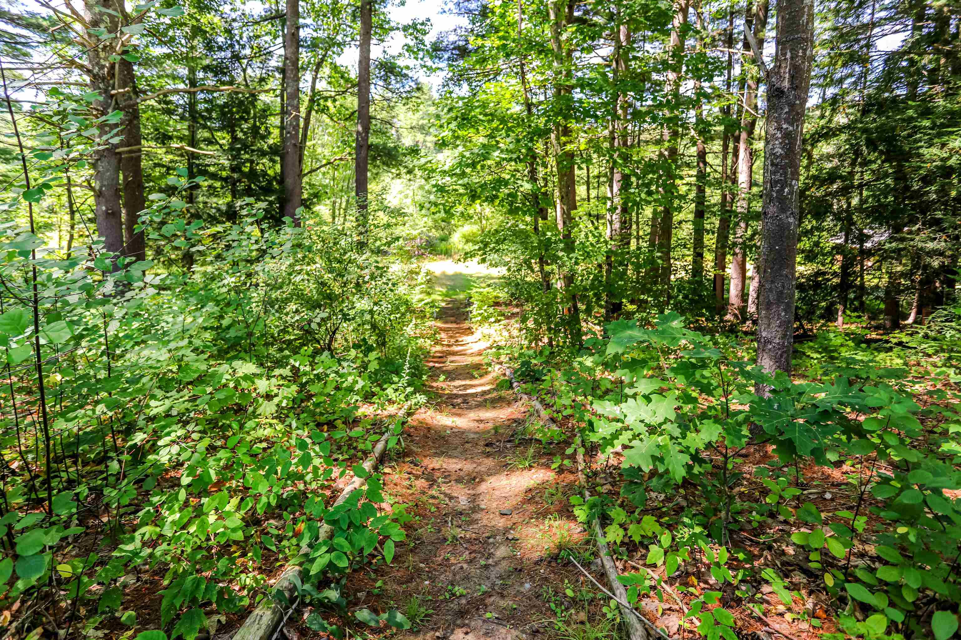 168 Lower Jaffrey Road Dublin, NH 03444 - Photo 39 of 45