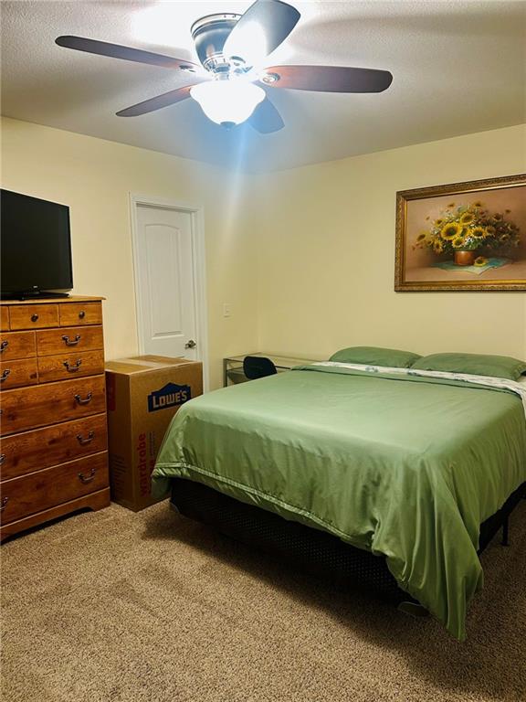 229 Southeast 141 Road Warrensburg, MO 64093 - Photo 19 of 33