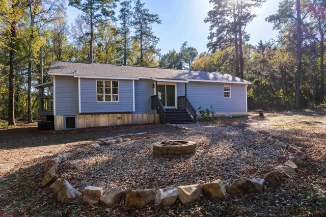 a view of a backyard with plants and trees