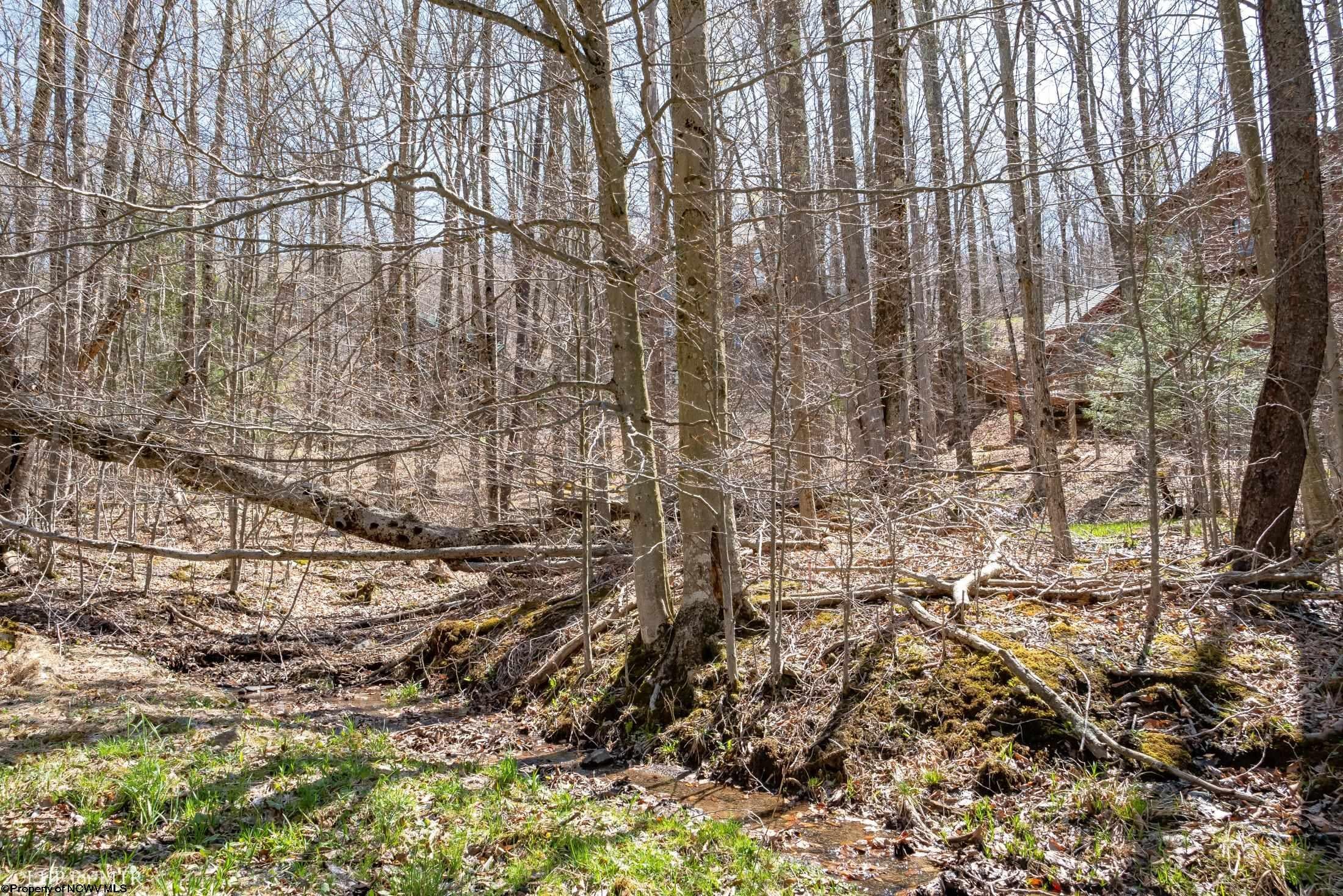 58 Brookside Road Davis, WV 26260 - Photo 6 of 14 Gallery Image 6