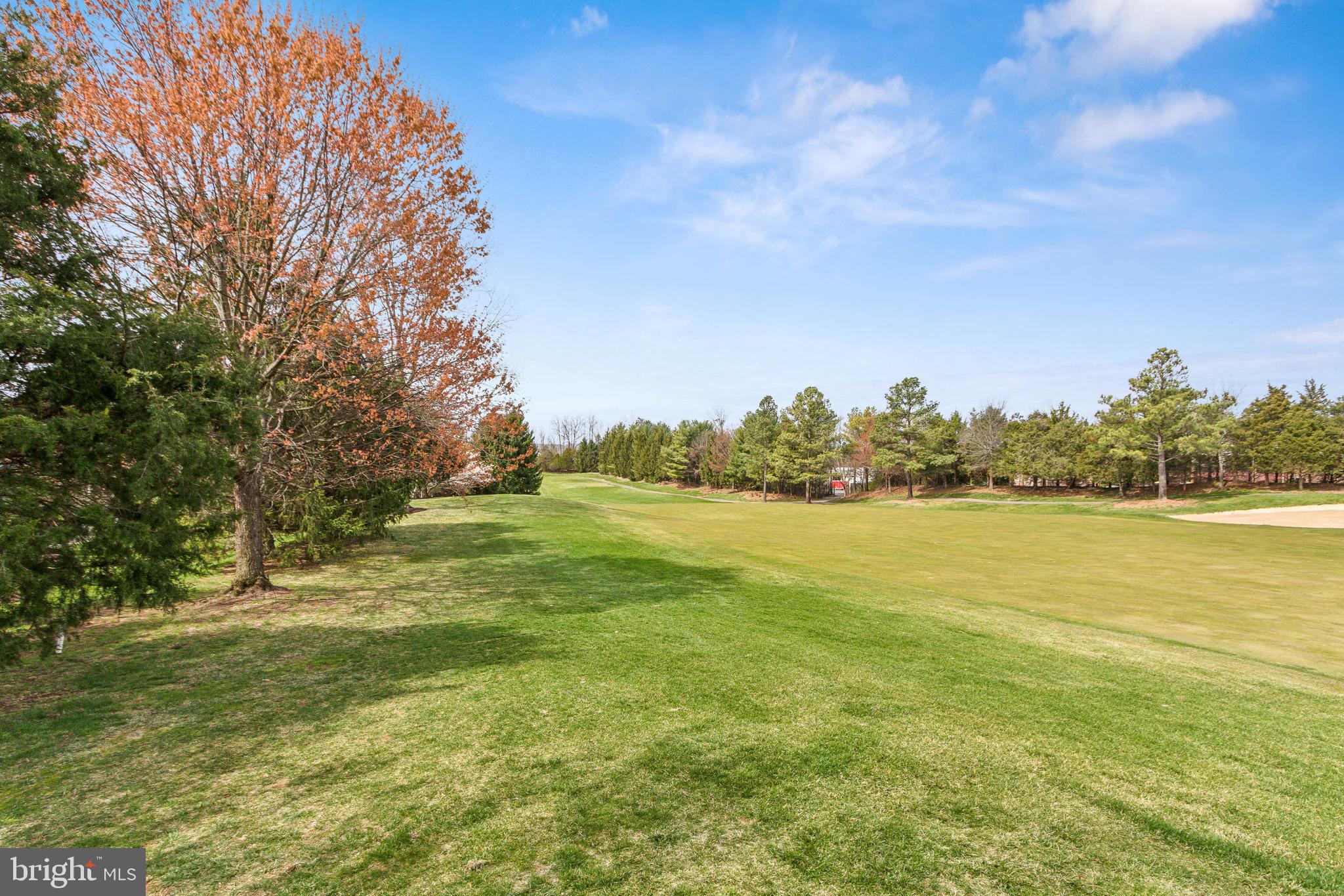 8158 Snead Loop Gainesville, VA 20155 - Photo 88 of 109