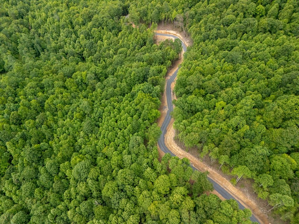 107 Cardinal Way Jumping Branch, WV 25969 - Photo 10 of 19 Gallery Image 10