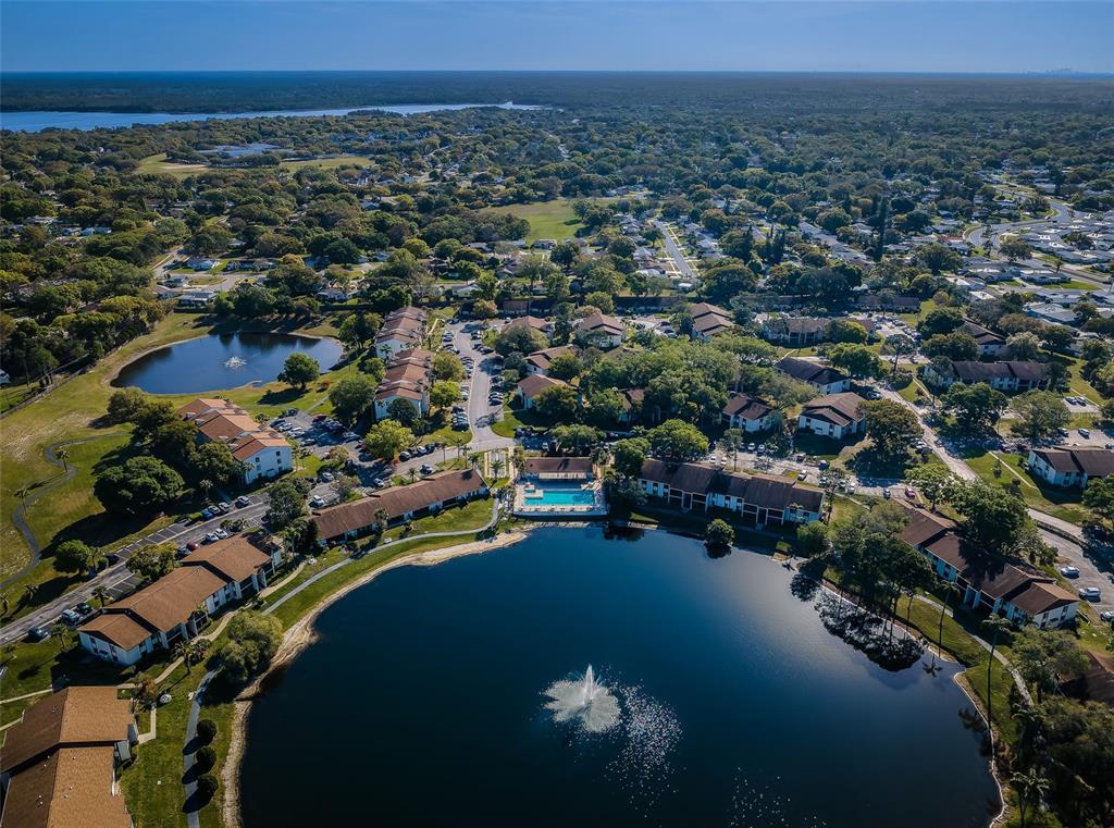 2687 Pine Ridge Way South, Unit B2 Palm Harbor, FL 34684 - Photo 64 of 68 an aerial view of a residential houses with outdoor space and trees