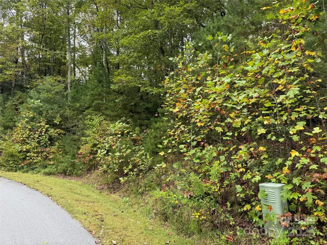 a view of a field of grass and trees