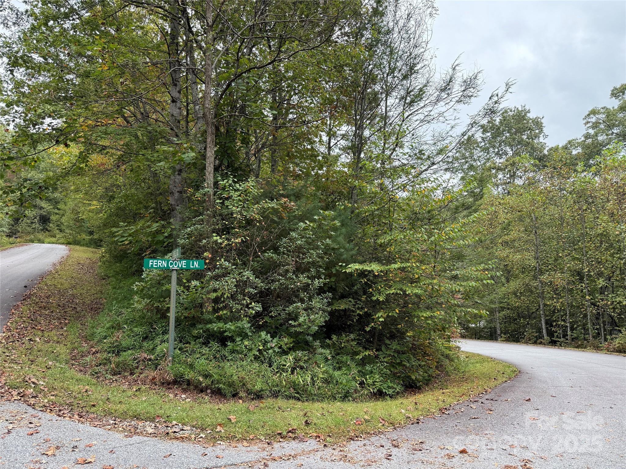 Tdb Tdb Fern Cove Lane, Unit 44 Pisgah Forest, NC 28768 - Photo 4 of 11