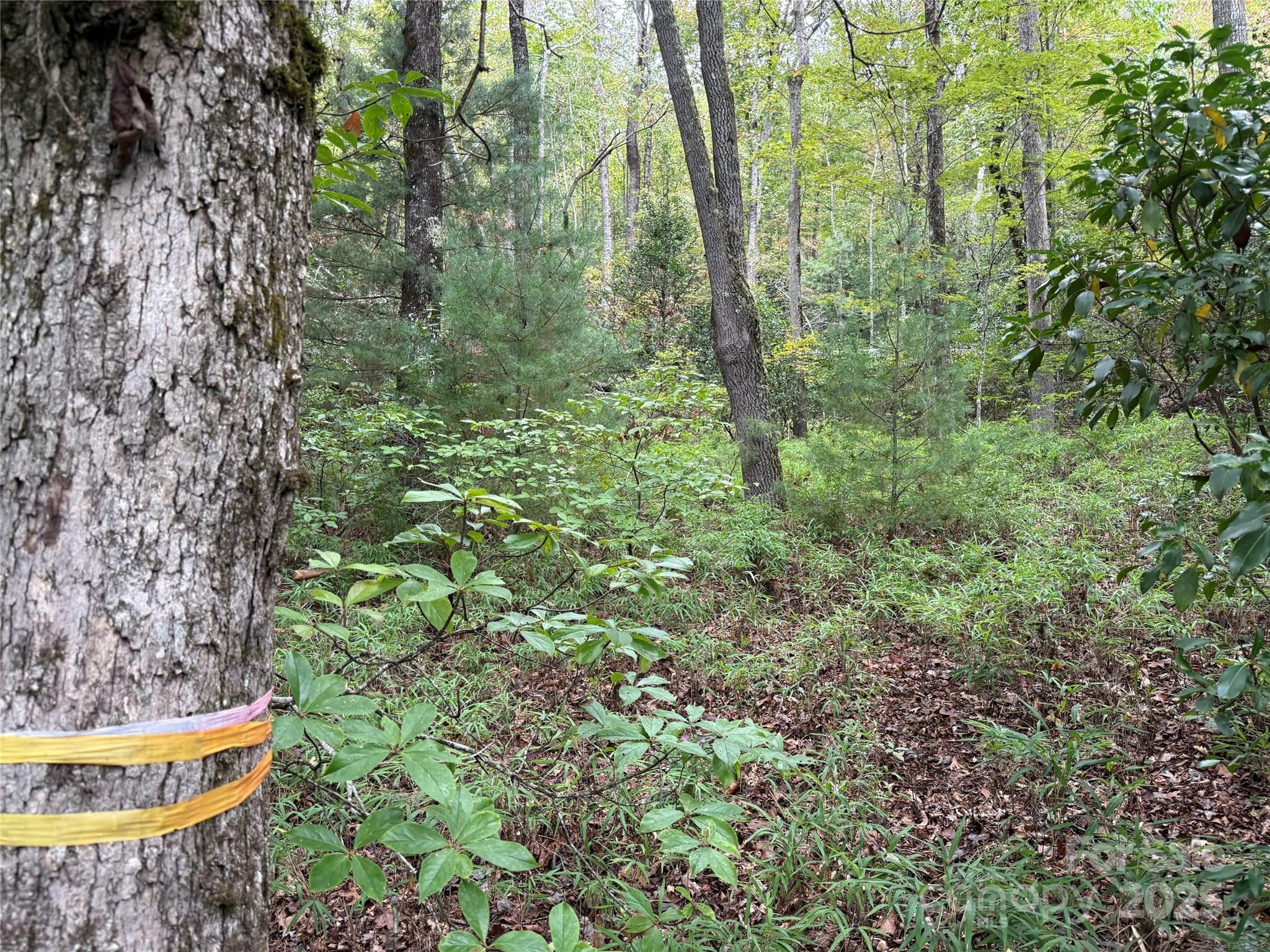 Tdb Tdb Fern Cove Lane, Unit 44 Pisgah Forest, NC 28768 - Photo 6 of 11 a view of an outdoor space
